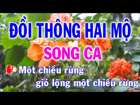 Karaoke Đồi Thông Hai Mộ Song Ca Nhạc Sống l Nhật Nguyễn
