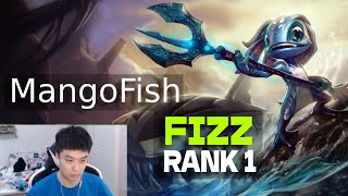 Mangofish Fizz vs Aurora Best Fizz Guide