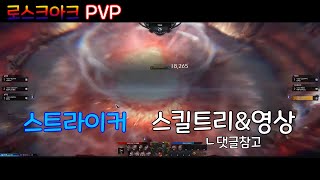 PVP 스커 스킬트리&영상 후기 장단점