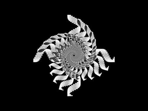 Steven Weston - The Solent (Official Video By Thomas Rebour)