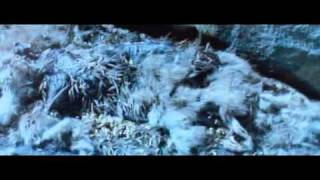 "A Zed & Two Noughts" & "Mr. Nobody" - Decomposition