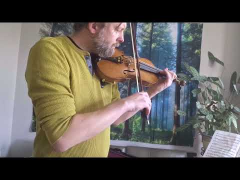 Eduard Soukup Louny handmade antique 3/4 Violin - brown varnish image 19