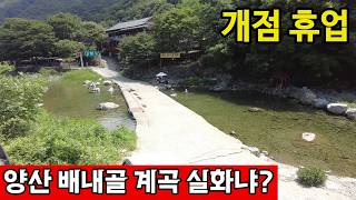 경상남도 양산시 원동면 양산시 원동면 배내골 계곡 주변 업소들, 물 없어서 난리 영상 썸네일