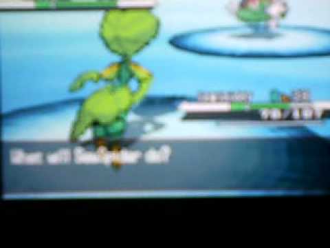 Pokemon Black Walkthrough Part 53- Route 17