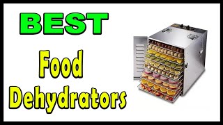TOP 5 Best Food Dehydrators 2025   Copy