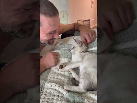 Un homme imite son chat à chaque fois qu'il se lèche