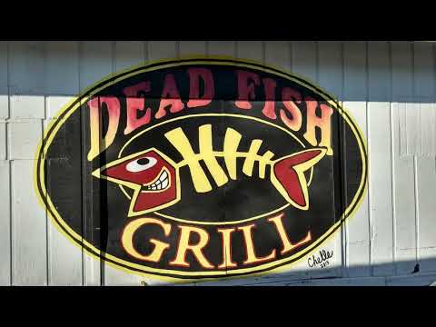 Good Tyme - Entertainment video.