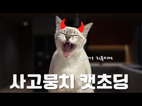 새벽에 집사들이 깰 수밖에 없었던 사건