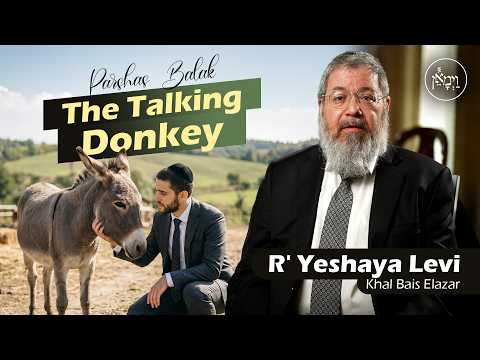 Parshas Balak: The Talking Donkey | Rabbi Yeshaya Levi