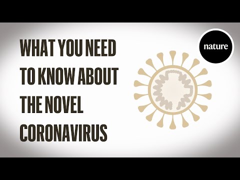 關於新型冠狀病毒，你需要知道什麼？ (What you need to know about the novel coronavirus)