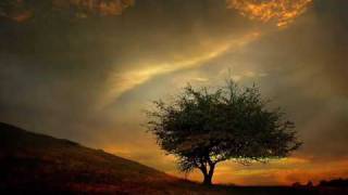 Ricardo - Last Goodbye ( The Calling )