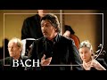 Bach - Cantata Ich habe genung BWV 82 - Mortensen | Netherlands Bach Society