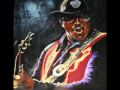 Bo Diddley - You Don't Love Me