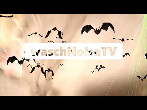 folge 11  ja man! pixel und grindcore