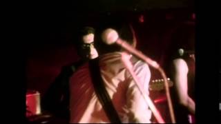 Shake And Pop - Nick Lowe with Elvis Costello & Larry Wallis