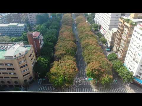 DFLY3188 Distrito de Taipei Da'an, Dunhua South Road, Taiwan Yunshu Hongryo 2020