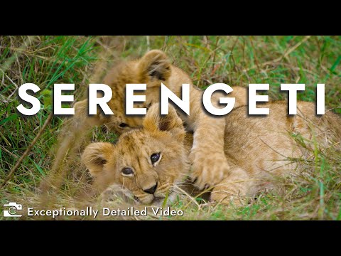 Serengeti 4K - A Wild Journey Through Africa’s Untamed Paradise