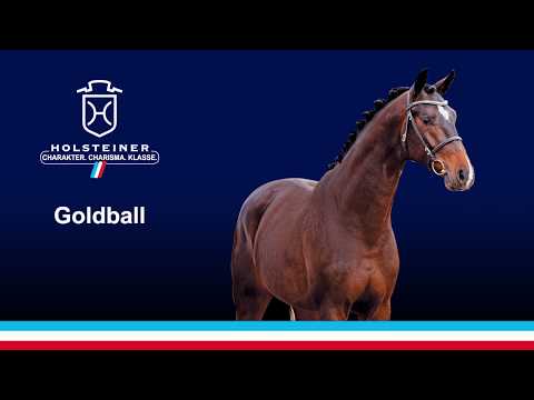 Die Verbandshengste 2020 - Goldball v. Goldberg-Sir Donnerhall