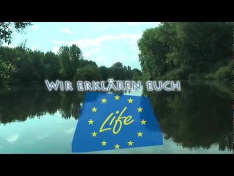 Wir erklären euch Life - Anfangsclip