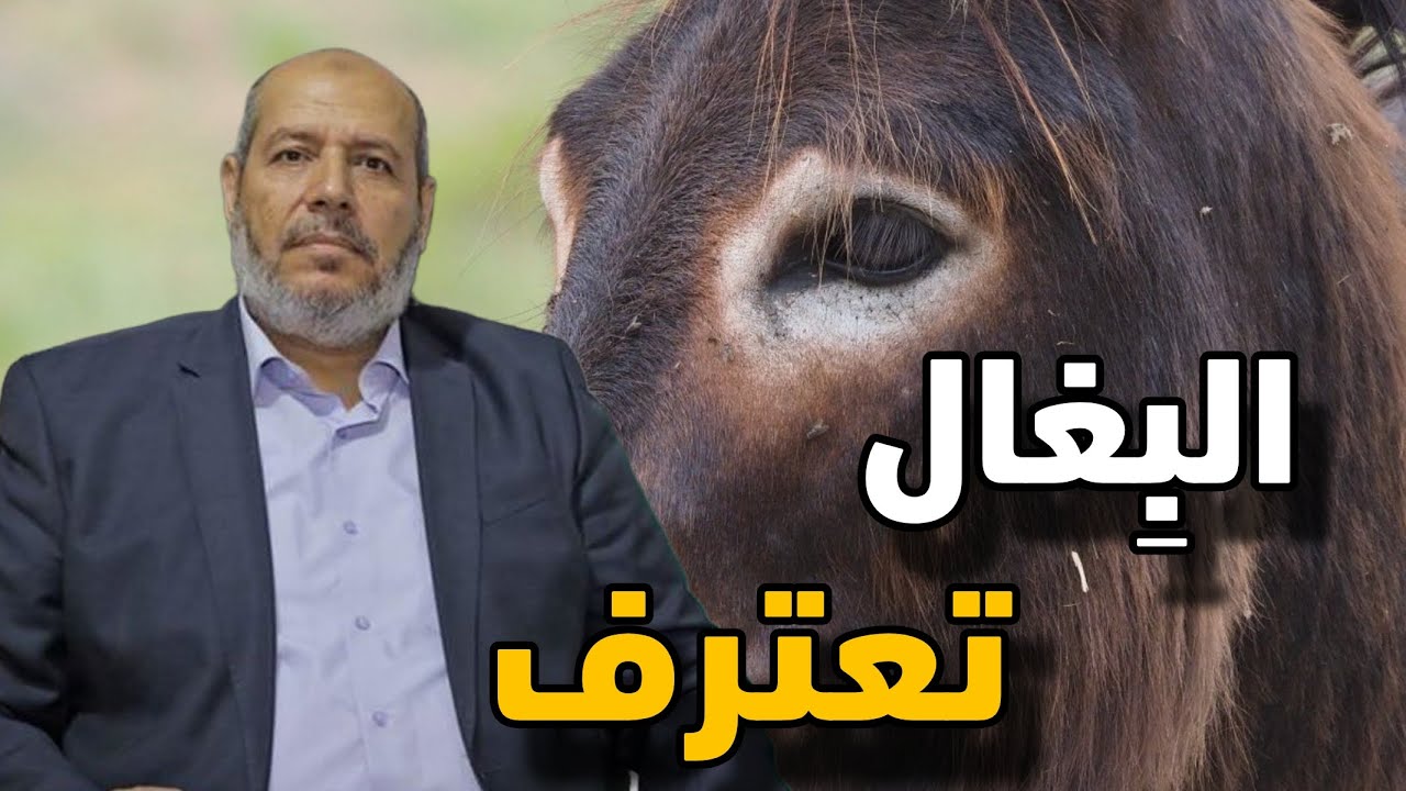 اعتـ.ـراف غريب من حركة سماح على أعضائها المجهولين