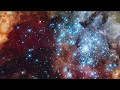 Innasekt - Cluster