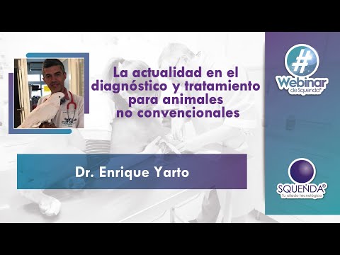 , title : 'Actualidad En Diagnóstico Y Tratamiento Animales No Convencionales - MVZ Esp. Enrique Yarto J.'