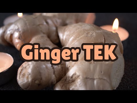 Ginger TEK — Cure Nausea And Feel Vibrant — For 5-MeO-DMT, LSD + Other Psychedelics