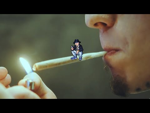 HOUSE TRACK - PEPECA NERVOSA 2025 - RITMADA & OUSADIA (DJ MAVICC) VISUALIZER