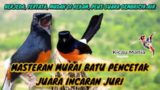 Download lagu Masteran Burung Nembak, Ngerol Cocok buat masteran murai batu MABUNG PERTAMA #masteranjuara mp3