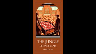The Jungle, Chapter 22 - Upton Sinclair - Sleep Reading