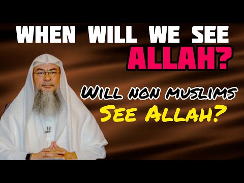 When will we see Allah & Will non muslims see Allah on the day of judgement? - Assim al hakeem