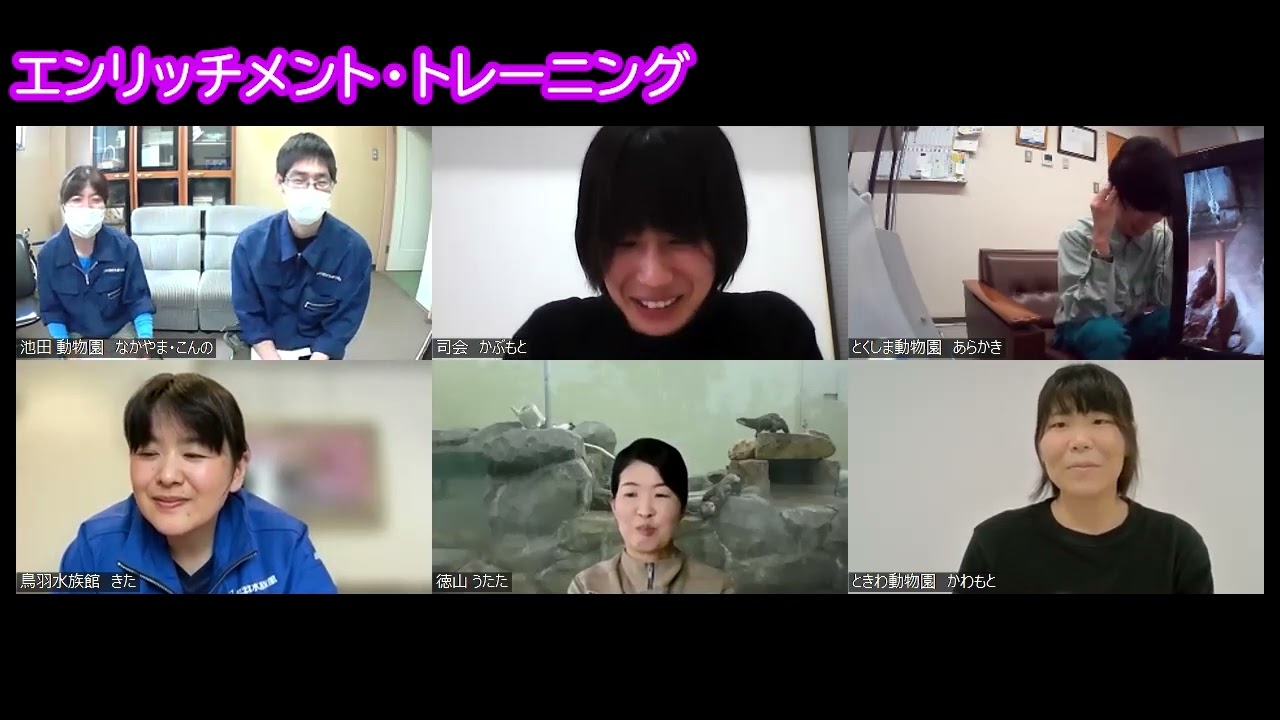 コツメカワウソ飼育5園館特別座談会#5　コツメカワウソ【エンリッチメント・トレーニング】