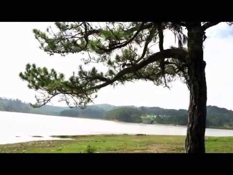 Say trăng - Nguyên Thảo