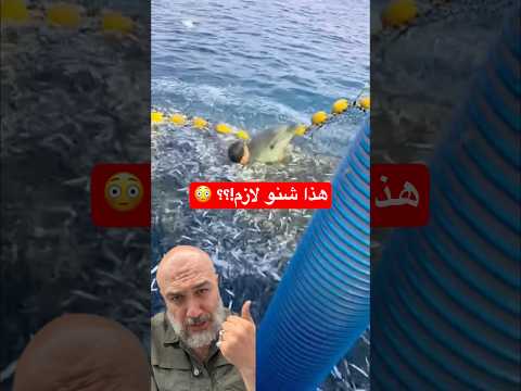 كمز بنص البحر علمود شنو؟؟؟