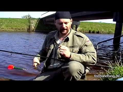 Bankruptcies, bad luck and mishaps 2006 Part 2