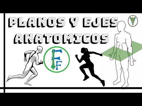 Anatomical Planes and Axes | Biomechanics | Easy Physiotherapy