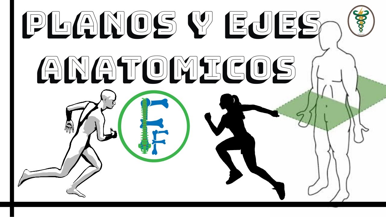 PLANOS Y EJES Anatomicos | Biomecánica | Fisioterapia Fácil