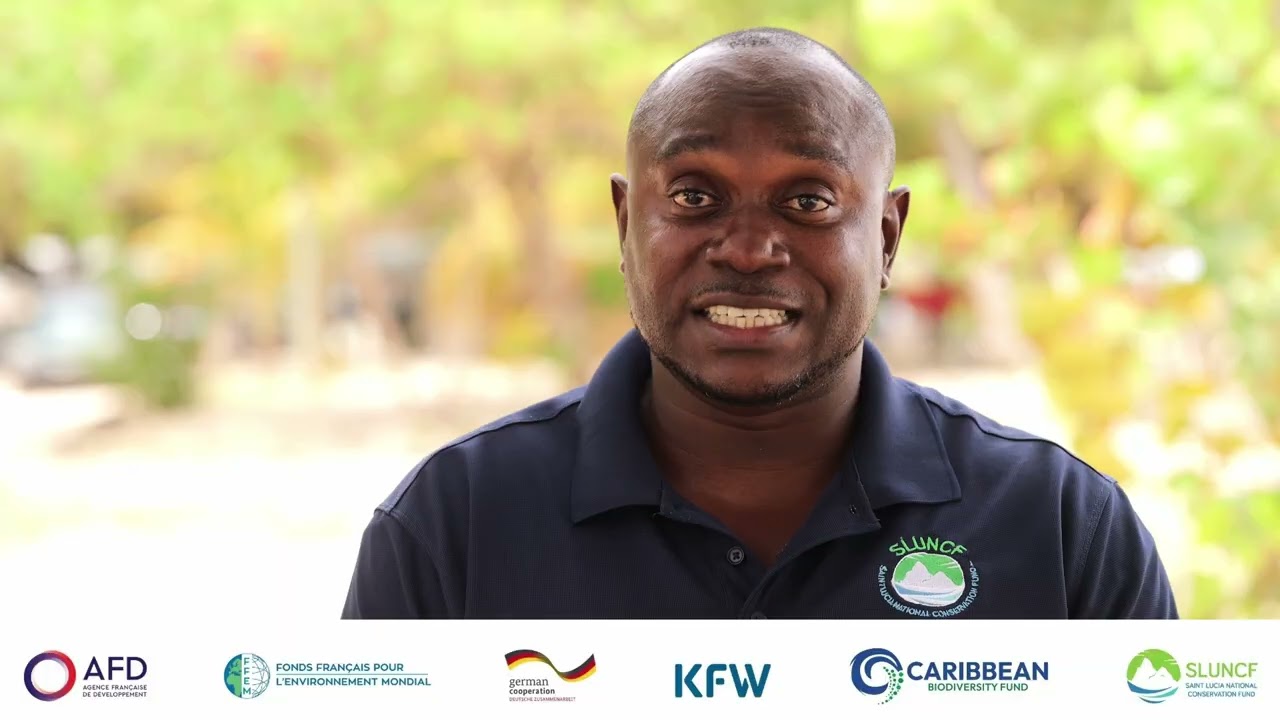 Saint Lucia Fisheries Marine Debris Removal & Sustainable Raft System Project (CBF-CRAB)