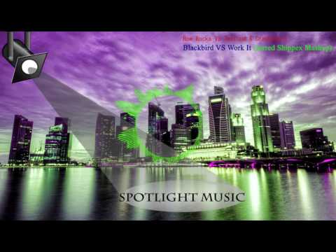 Row Rocka VS. Twoloud & Cranksters - Blackbird VS Work It (Jarred Shippex Mashup)