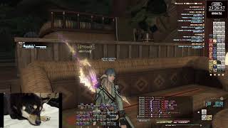 【FF14】誕生日までに25まで上げ切りたい