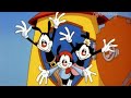Animaniacs Intro Polish