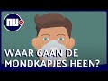 Waarom mondkapjes door de run erop naar de verkeerde mensen gaan | NU nl