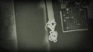 宇宙人