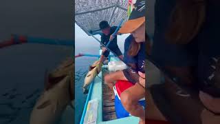 【歓喜の瞬間】初めて10Kg overを釣った！