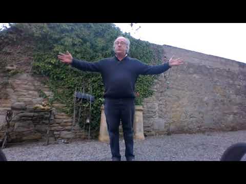 Groovy gaga does the soft shoe shuffle!!!