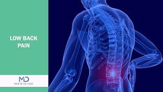 Breaking the Cycle of Back Pain: A Guide to Relief and Recovery @mdmedicine.network