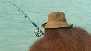 Black Books by Nils Lofgren (guitar cut only)