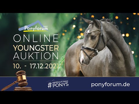 TALLULAS CARLA 3j. Stute v. Carnuet / Wildzangs Romulus