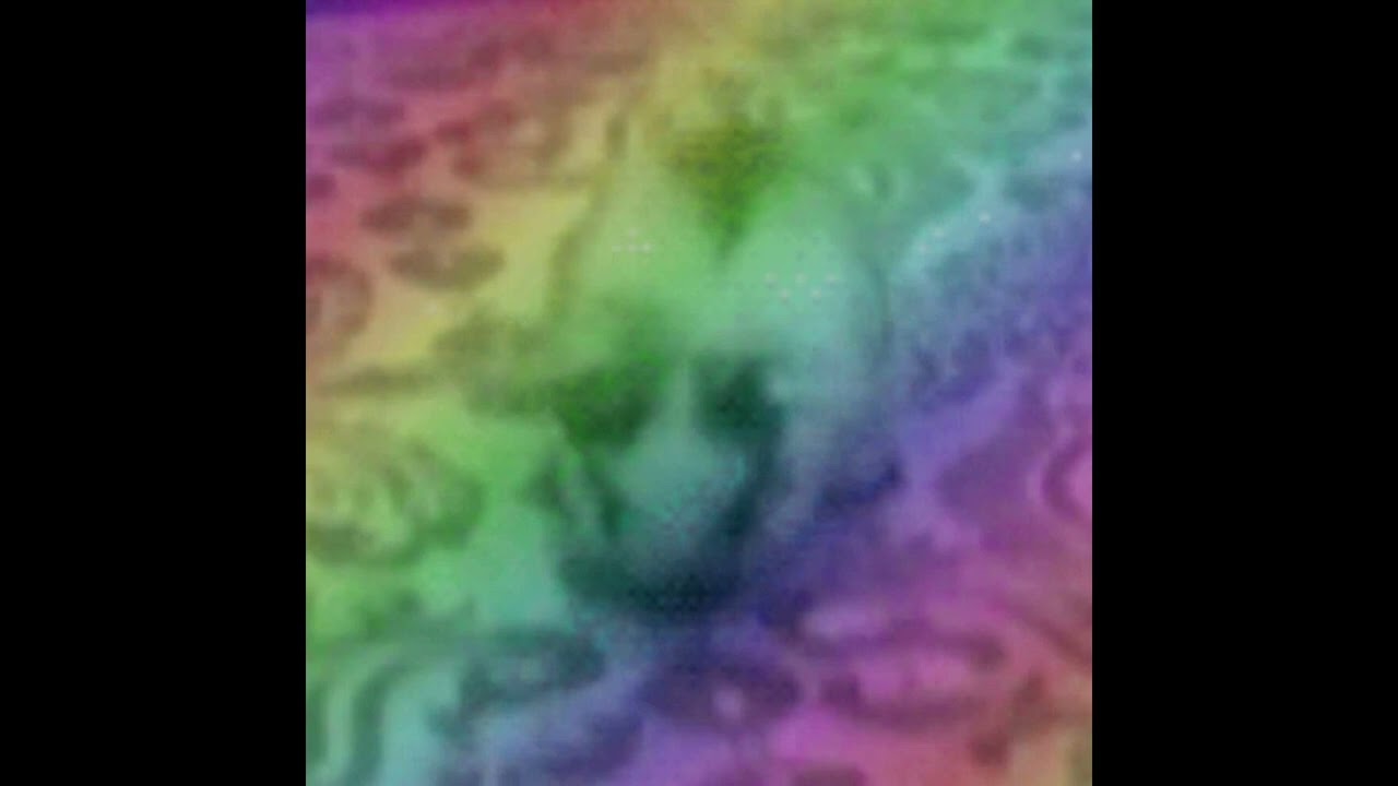 2worth - funee bunee gif [reupload]