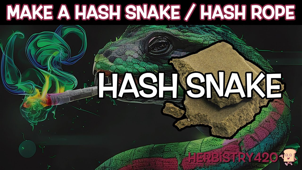 How to Make a Hash Snake: 4 Easy Steps at Home